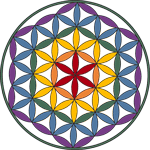 Sacred Geometry Yoga